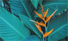 Design fotótapéta Flizelin falra Leveles virágok 416x254 Ragasztó