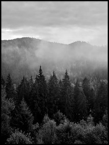 Erdő hegyek köd fák fekete-fehér poszter 60x90cm