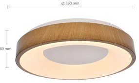 Brilagi - DORIA LED 48W stropní stmívatelné svítidlo 3000-6500K + DO