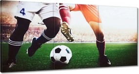 Képek 120x60 Labdarúgók Labdarúgás Ág Dugók