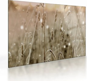 Üveg kép - Harmonikus rét (70x50 cm)