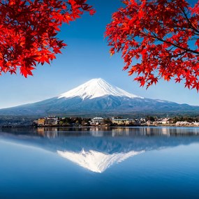 Gario Paraván Fuji és piros levelek Méret: 145 x 170 cm, Kivitelezés: Klasszikus paraván