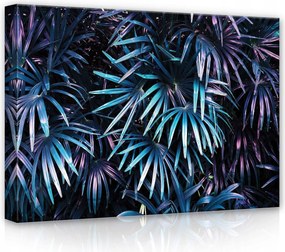 Vászonkép 70x50 Trópusi pálmalevelek dzsungel éjszaka neon lila egzotikum