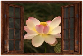 Poszterek 90x60 Lótusz Lótuszvirág