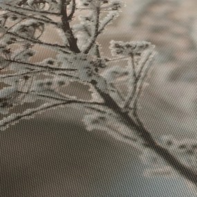 Kép - Növény fagyban (120x50 cm)