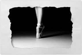 Poszterek 120x80 Balett balerina tánc