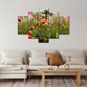 Pipacsok képe (150x105 cm)