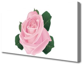 Vászonkép nyomtatás Rózsa Virág növény természet 120x60 cm