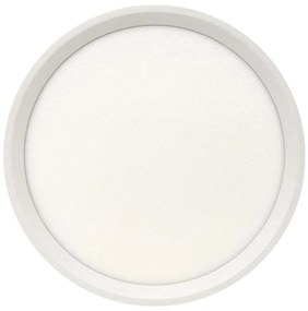 LED mennyezeti lámpa LED/18W/230V 3000/4000/6500K átm. 23 cm fehér