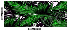 Fotótapéta Monstera levelek 104x70 cm