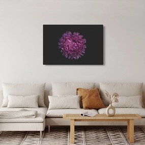 Lila virág képe (90x60 cm)