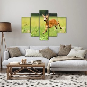 Kép - Őz (150x105 cm)