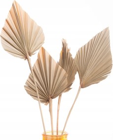 Szárított pálmalevél természetes pálma spear pálmalevél szárított levelek