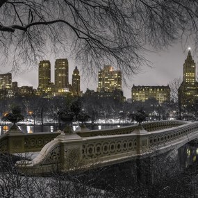 Poszter 70x70cm Központi park Manhattan panorámával, Assaf Frank