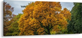 Fa képe (120x50 cm)