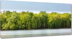 Vászonkép 115x55 Erdő Tó Ég