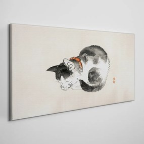Vászonkép Állati macska