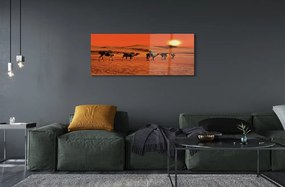 Akrilkép Tevék az emberek sivatagi nap ég 100x50 cm