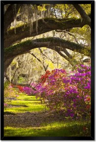 Poszterek keretben 40x60 Virágok a parkban