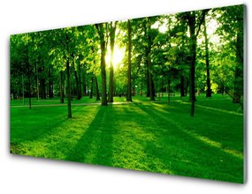 Üvegfotó Forest Park Természet 100x50 cm