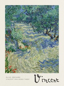 Festmény reprodukció Olive Orchard - Vincent van Gogh, (30 x 40 cm)