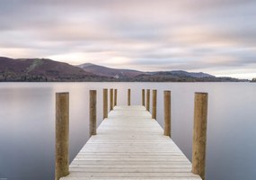 Poszter 66,5x46,5cm, Assaf Frank