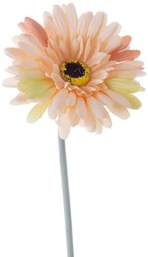 Gerbera selyemvirág szál, magasság: 55cm, virágfej átmérő: 10cm - Barack