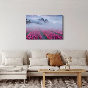Kép - Tájkép tulipánmezőkkel (90x60 cm)