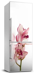 Matrica hűtőre Rózsaszín orchidea FridgeStick-70x190-f-18886978