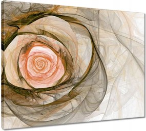Vászonkép 50x40 Absztrakt rózsa virág