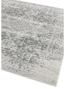 Szürke szőnyeg 160x230 cm Nova – Asiatic Carpets
