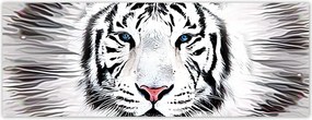 Fotótapéta flizelina 250x93 Fehér tigris