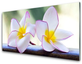 Akrilüveg fotó Plumeria virág szirmai 100x50 cm 2 fogas