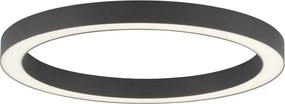 Paul Neuhaus modern mennyezeti lámpa pure-lines antracit pln6309-13