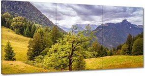 Festmények 120x60 Fa az égig