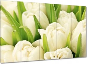 Vászonkép 100x70 Finom tulipánok