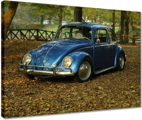 Vászonkép 40x30 Bogár Vw autó]