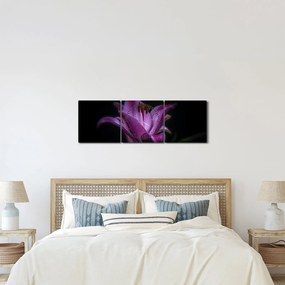 A liliom képe (órával) (90x30 cm)