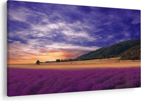 A levendula rét képe (90x60 cm)