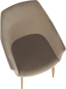 Szék, szövet Taupe szürke-barna/bükk, ODOVEL