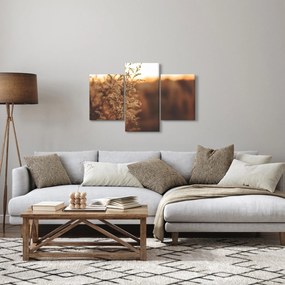Virágzó fű képe (90x60 cm)