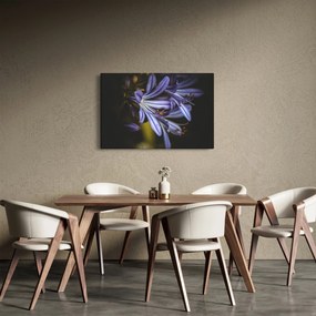 Kép - Lila (90x60 cm)