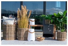 Fű műnövény (magasság 110 cm) Sorghum – House Nordic