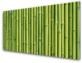 Üvegkép Bambusz növény természet 120x60cm