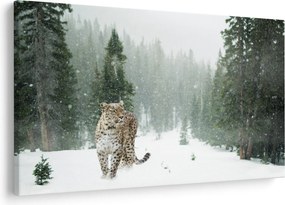 Leopárd a hóban képe (90x60 cm)