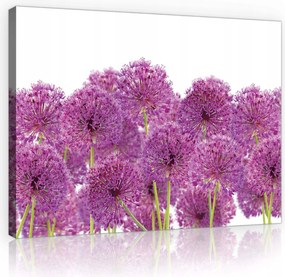 Vászonkép 80x60 Virágok hagyma dekoratív tavasz lila zöld frissesség