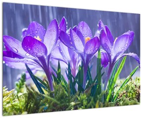 Virágok az esőben képe (90x60 cm)