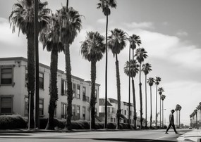 Poszter 84x59,5cm Séta a pálmafák árnyékában