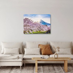 Kép - Japán tavasszal (70x50 cm)