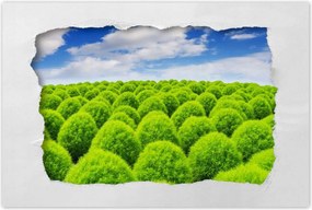 Poszterek 120x80 Zöld tekintet Völgy